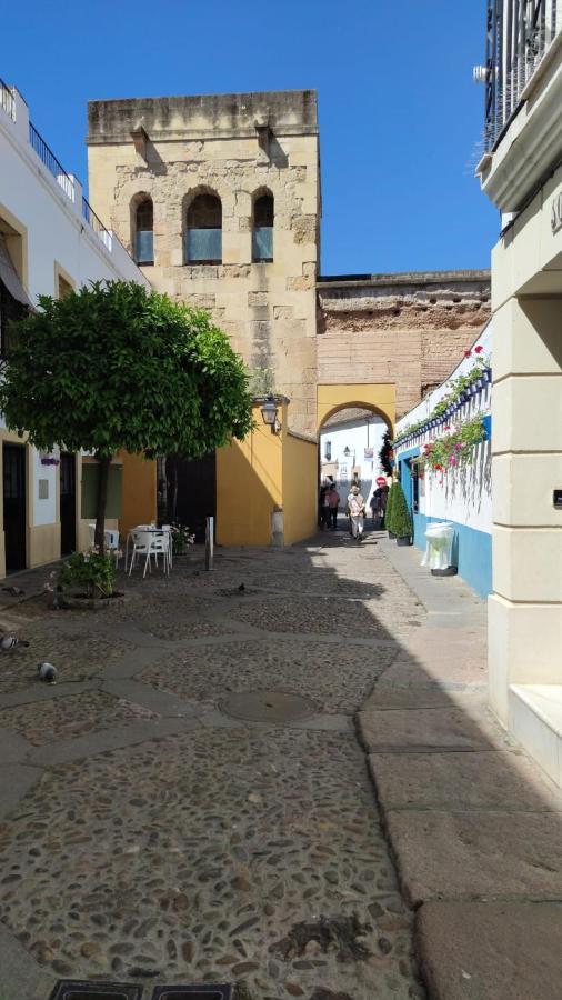 Alcazar Viejo Parking Tourist Appartement Cordoue