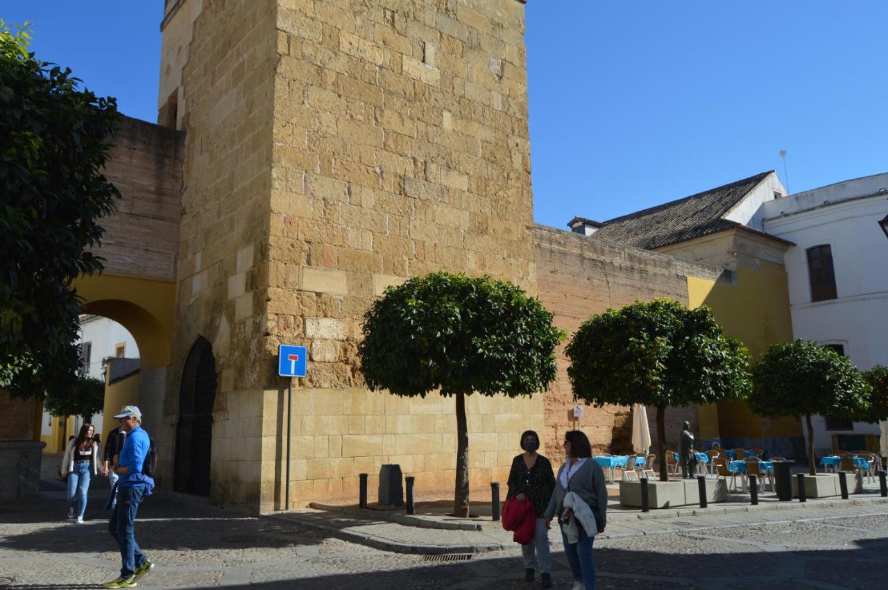 Alcazar Viejo Parking Tourist * Cordoue